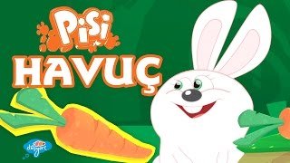 Pisi – Havuç