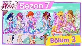 Winx Club – 7. Sezon 3. Bölüm – Butterflix