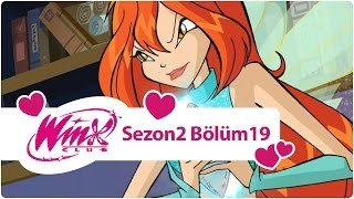 Winx Club – Sezon 2 Bölüm 19 – Gölgedeki Casus